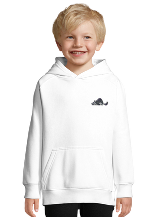 b7a16387-76b0-4bc0-866c-e7b890a19623